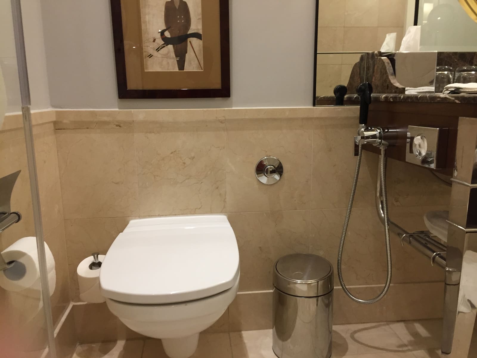 Residential wall hung toilet with handheld bidet — Bathroom Plumbing project by Glen The Plumber