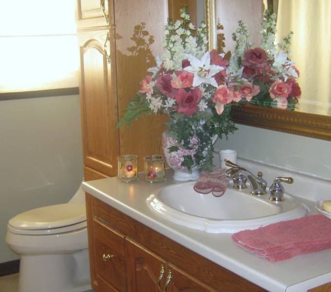 Vanity & fixture detail — Bathroom Plumbing project by Glen The Plumber